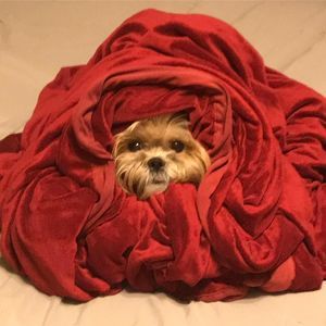 Meet your Posher, Fernanda